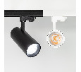 Линза Arlight ARL-36CBT-D75 (без оправы) 030940(1)