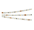 Светодиодная лента Arlight MICROLED-M120-4mm 24V Day5000 (5.4 W/m, IP20, 2216, 5m) узкая 024419(2)