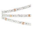 Светодиодная лента Arlight RT-B84-10mm 24V RGB (21 W/m, IP20, 5060, 5m) (Открытый) 021475(2)