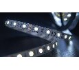 Лента светодиодная SWG  60LED/м 14,4W 6000K ECO-SWG560-12-14.4-W