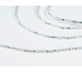 Лента светодиодная SWG  60LED 4,8W/м IP20 6000K SWG360-12-4.8-W-M