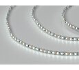 Лента светодиодная SWG  120LED/м 9,6W 6500К SWG2120-12-9.6-W-M