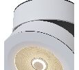 Потолочный светильник Technical Treviso C023CL-L20W