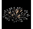 Люстра Chiaro Летиция 6*40W E14 220V 343011906