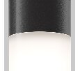 Потолочный светильник Outdoor Willis O418CL-01B