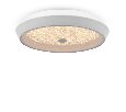 Потолочный светильник Freya Cells FR10012CL-L24W