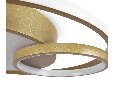 Потолочный светильник Freya Nation FR10028CL-L80G