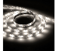 Cветодиодная LED лента Feron LS607, 60SMD(5050)/м 14.4Вт/м  5м IP65 12V 4000К 48290