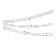 Лента COB-X768-12mm 24V RGBW-Day (15 W/m, IP20, CSP, 5m) (Arlight, 5 лет) 041786