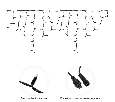 Гирлянда светодиодная Бахрома (Айсикл), 4,0х0,6м, 128 LED ТЕПЛЫЙ БЕЛЫЙ, черный КАУЧУК 2,3мм, IP67, постоянное свечение, 230В NEON-NIGHT (нужен шнур питания 315-000) 255-226-6