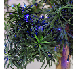 Гирлянда Твинкл Лайт 10 м, темно-зеленый ПВХ, 80 LED, цвет: Синий 303-043