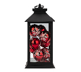 Декоративный фонарь с шариками, черный корпус, размер 14х14х27 см, цвет теплый белый 513-063