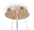 Подвесная люстра Freya Mineral FR1010PL-08G