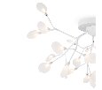Потолочная люстра Freya Florencia FR5049CL-27W2