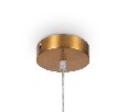 Подвесной светильник Freya Focus FR5220PL-01G