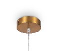 Подвесной светильник Freya Focus FR5220PL-01G6