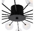Потолочный светильник Freya Celebrity FR5242CL-16B1