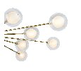Потолочный светильник Freya Celebrity FR5242CL-16BS1