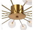 Потолочный светильник Freya Celebrity FR5242CL-16BS1