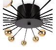 Потолочный светильник Freya Celebrity FR5242CL-24B