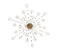 Потолочный светильник Freya Celebrity FR5242CL-24BS1