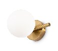 Настенный светильник (бра) Freya Blossom FR5259WL-01BS