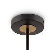 Люстра на штанге Freya Hats FR5370CL-06B
