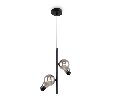 Подвесной светильник Freya Evidence  FR5372PL-02B