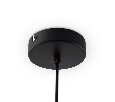 Подвесной светильник Freya Evidence  FR5372PL-02B