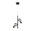 Подвесной светильник Freya Evidence  FR5372PL-02B