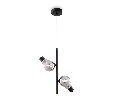 Подвесной светильник Freya Evidence  FR5372PL-02B