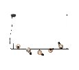 Подвесной светильник Freya Evidence  FR5372PL-05B
