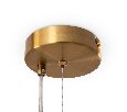 Подвесной светильник Freya Evidence  FR5372PL-05BS