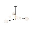 Потолочный светильник Freya Sphirity FR5376CL-06B