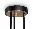 Потолочная люстра Freya Bogy FR5377CL-06B