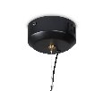 Подвесной светильник Freya Enchantment FR5384PL-L5BL
