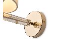 Настенный светильник (бра) Freya Pipe FR5386WL-01G