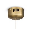 Подвесной светильник Freya Pina FR5387PL-L14.5BS1