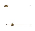 Подвесной светильник Freya Pina FR5387PL-L14.5BS1
