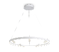 Подвесной светодиодный светильник с пультом Ambrella Light FL5288