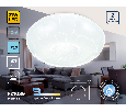 Потолочный светодиодный светильник Ambrella Light FZ1089