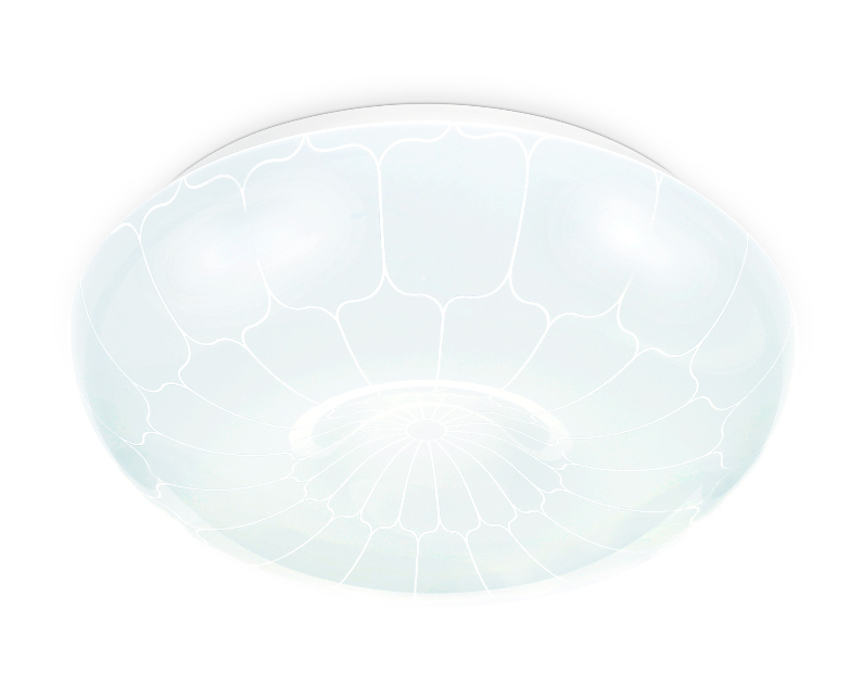 Потолочный светодиодный светильник Ambrella Light FZ1089