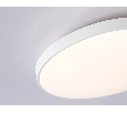 Потолочный светодиодный светильник Ambrella Light FZ1220