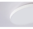 Потолочный светодиодный светильник Ambrella Light FZ1220