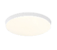Потолочный светодиодный светильник Ambrella Light FZ1220