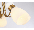 Подвесная люстра Ambrella Light TR3218