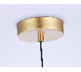 Подвесной светильник со сменной лампой Ambrella Light TR5428