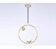 Подвесной светильник со сменной лампой Ambrella Light TR5428