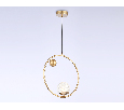 Подвесной светильник со сменной лампой Ambrella Light TR5428