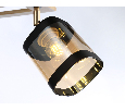 Подвесной светильник Ambrella Light TR9525